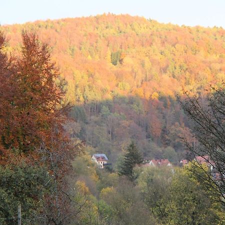 B&B Arlesbrunnen Egloffstein Kültér fotó