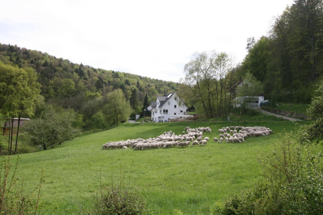 B&B Arlesbrunnen Egloffstein Kültér fotó