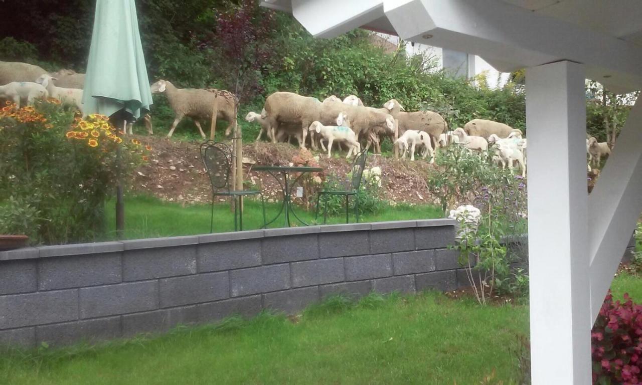 B&B Arlesbrunnen Egloffstein Kültér fotó