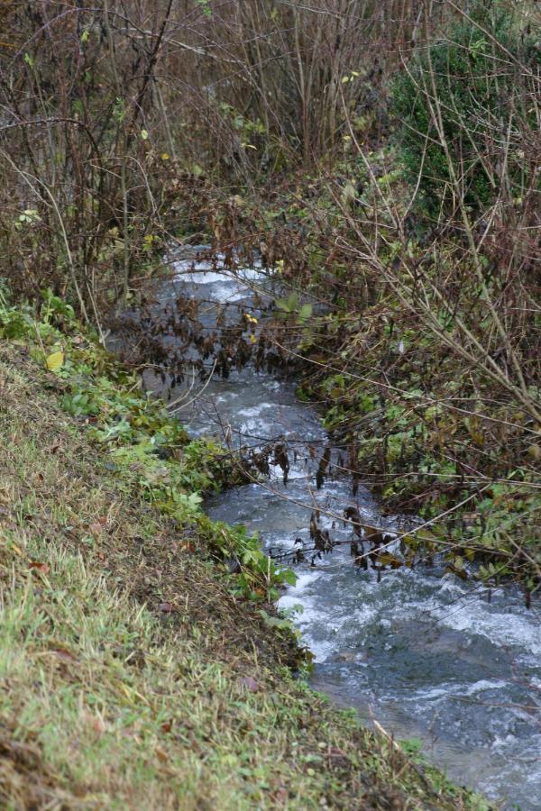 B&B Arlesbrunnen Egloffstein Kültér fotó