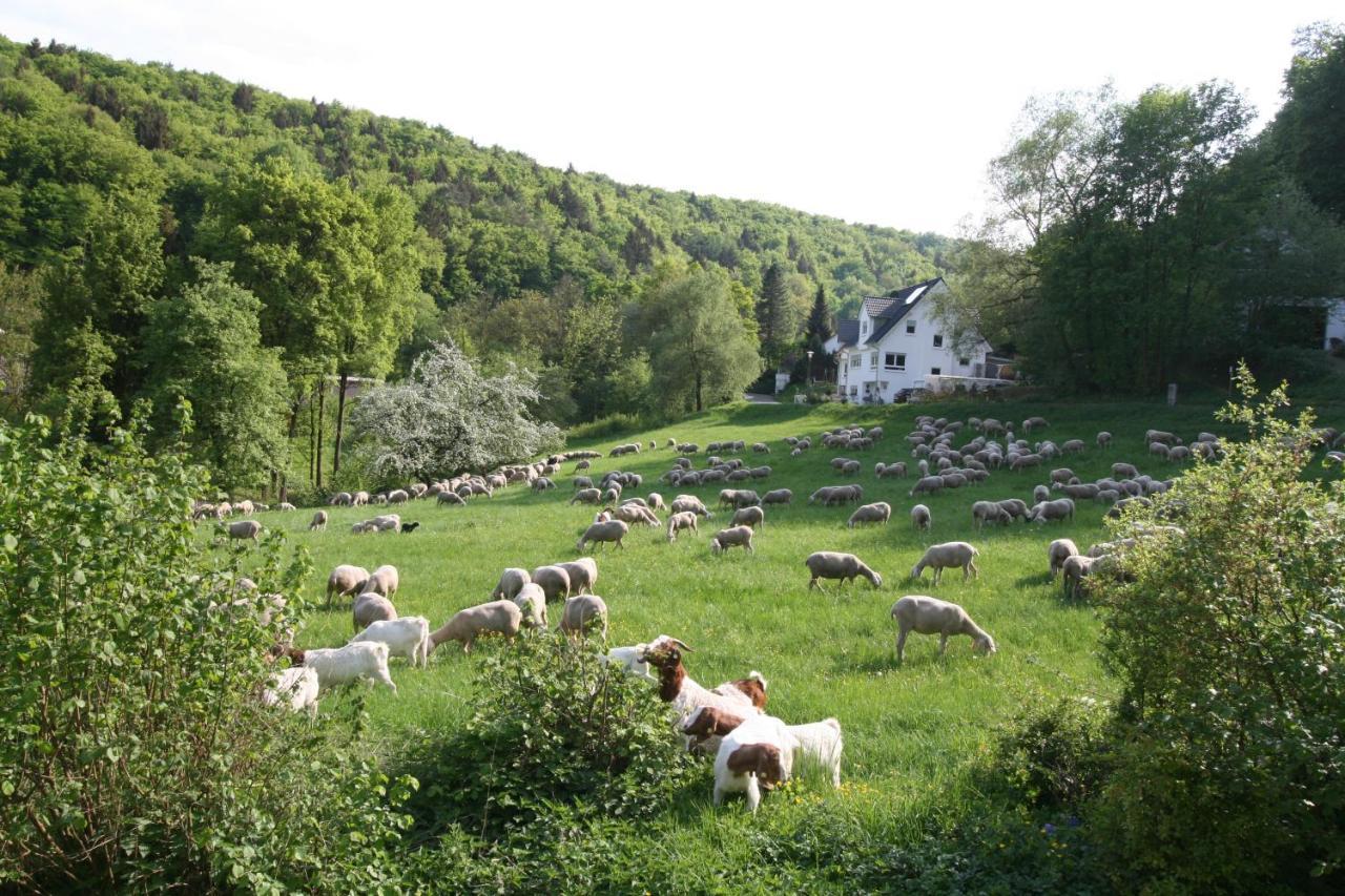 B&B Arlesbrunnen Egloffstein Kültér fotó