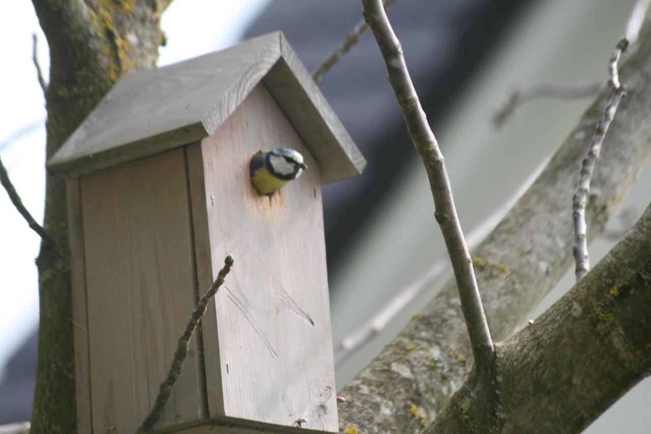 B&B Arlesbrunnen Egloffstein Kültér fotó