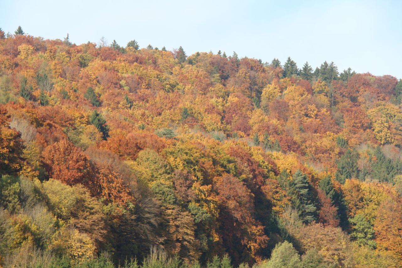 B&B Arlesbrunnen Egloffstein Kültér fotó