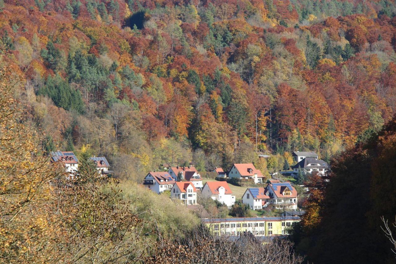 B&B Arlesbrunnen Egloffstein Kültér fotó