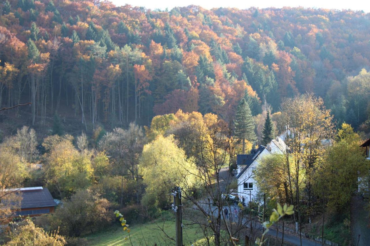 B&B Arlesbrunnen Egloffstein Kültér fotó