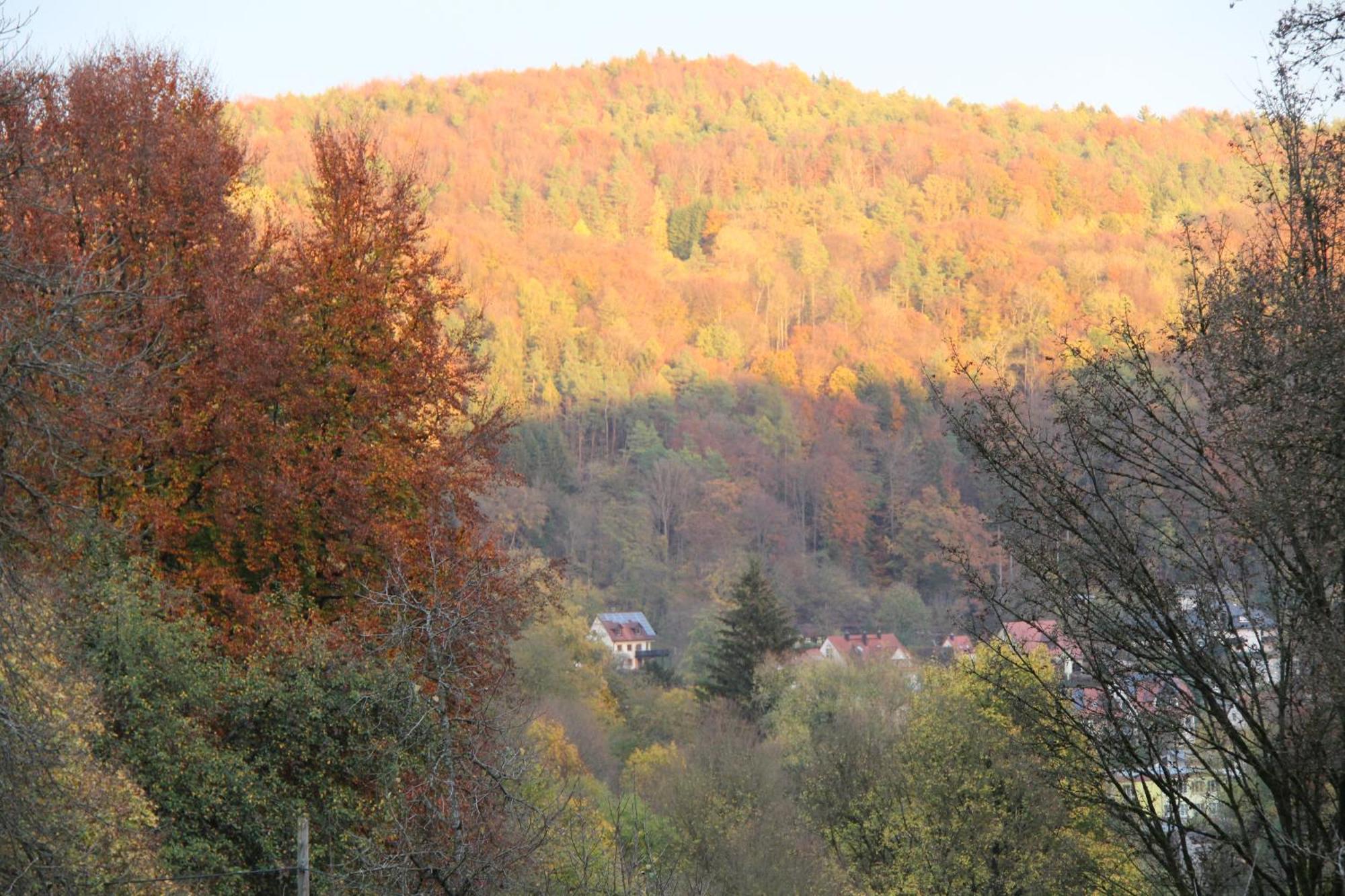 B&B Arlesbrunnen Egloffstein Kültér fotó